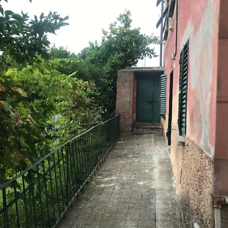 Centro